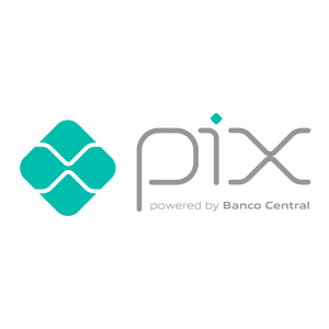Payment Icon